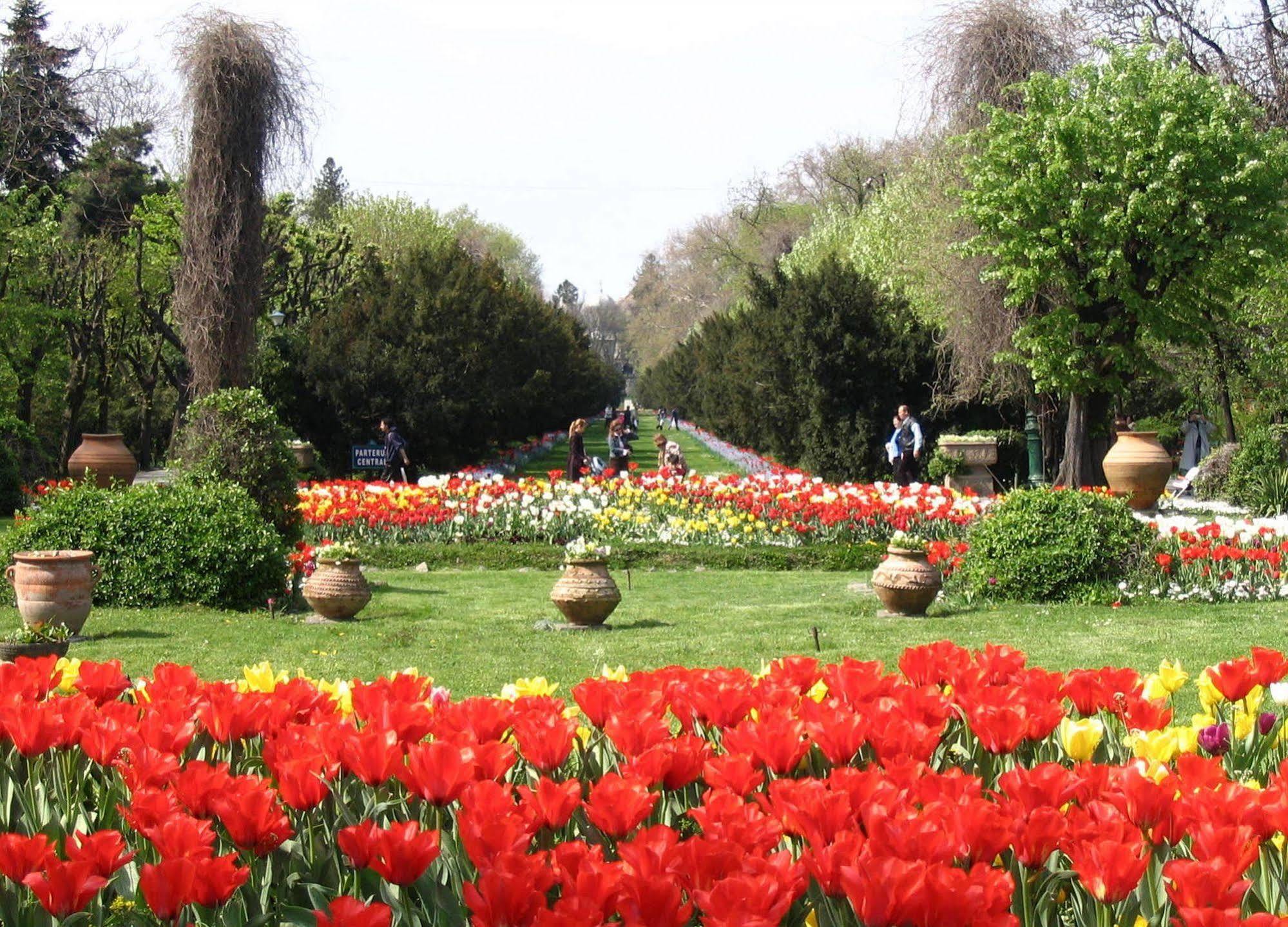 Central Park View Apartments Бухарест Екстер'єр фото